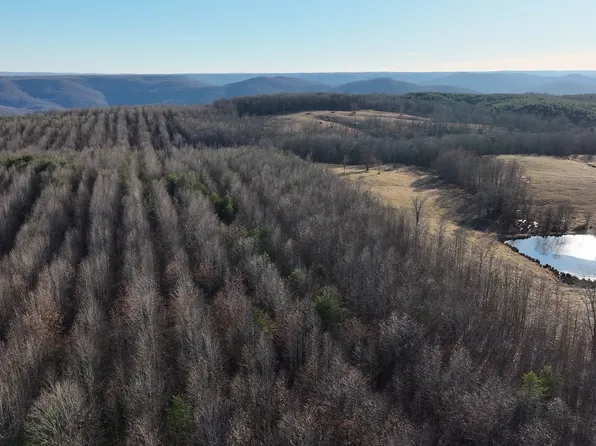 0 Lewis Rd., McMinnville, TN 37110