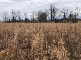 0 W Lehman Rd, Dewitt, MI 48879