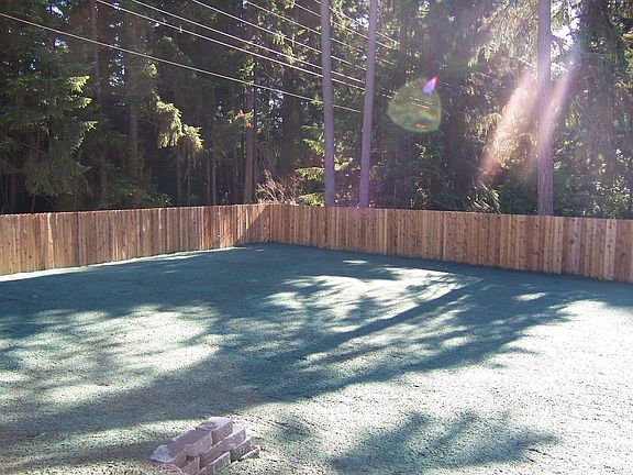 back yard