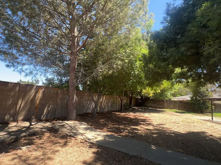303 Diane Ct — Photo 12