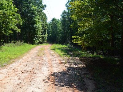 0 Little Bear Trl Lot 726, Dahlonega, GA, 30533