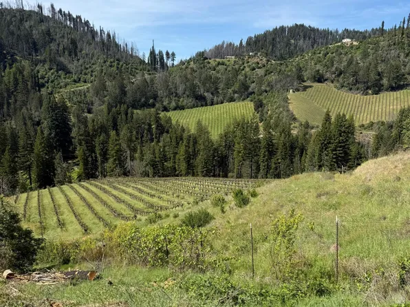 8707 Mill Creek Road, Healdsburg, CA 95448