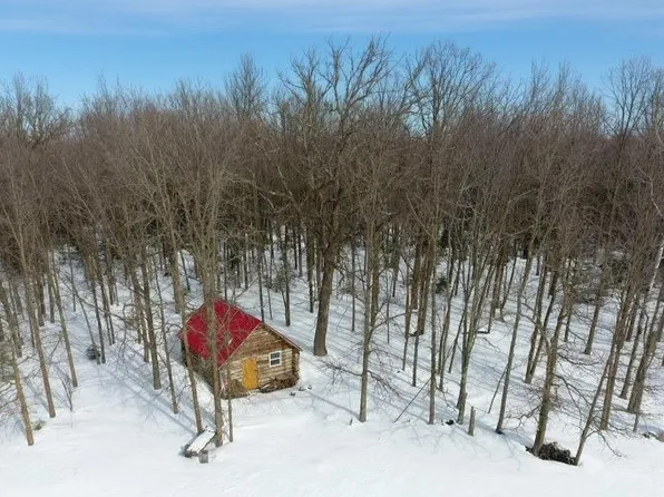 Birch Creek Birch, Sturgeon Lake, MN 55783