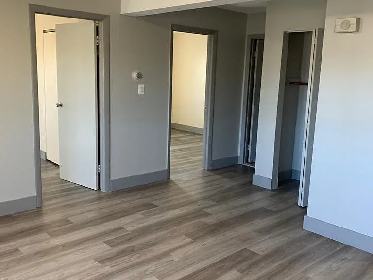 50 Bingham St #10 — Photo 4