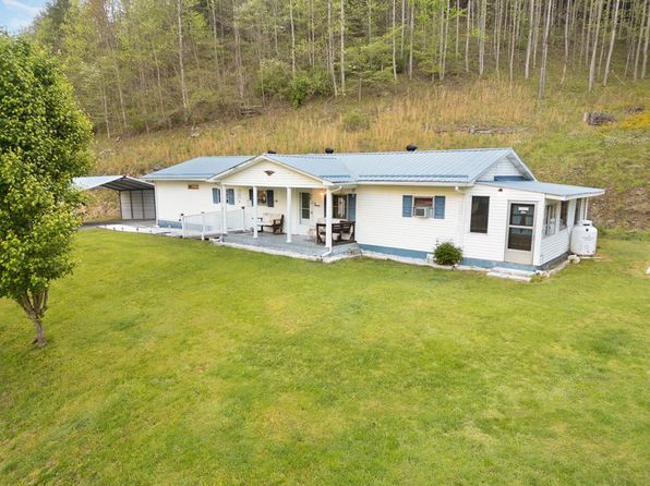 1460 Gum Branch Rd, Oakwood, VA 24631