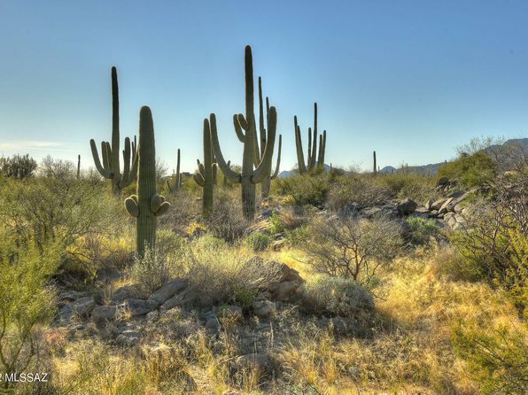 14451 N Giant Saguaro Pl #32, Tucson, AZ 85755