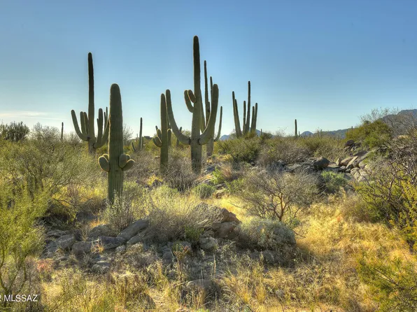 14451 N Giant Saguaro Pl #32, Tucson, AZ 85755