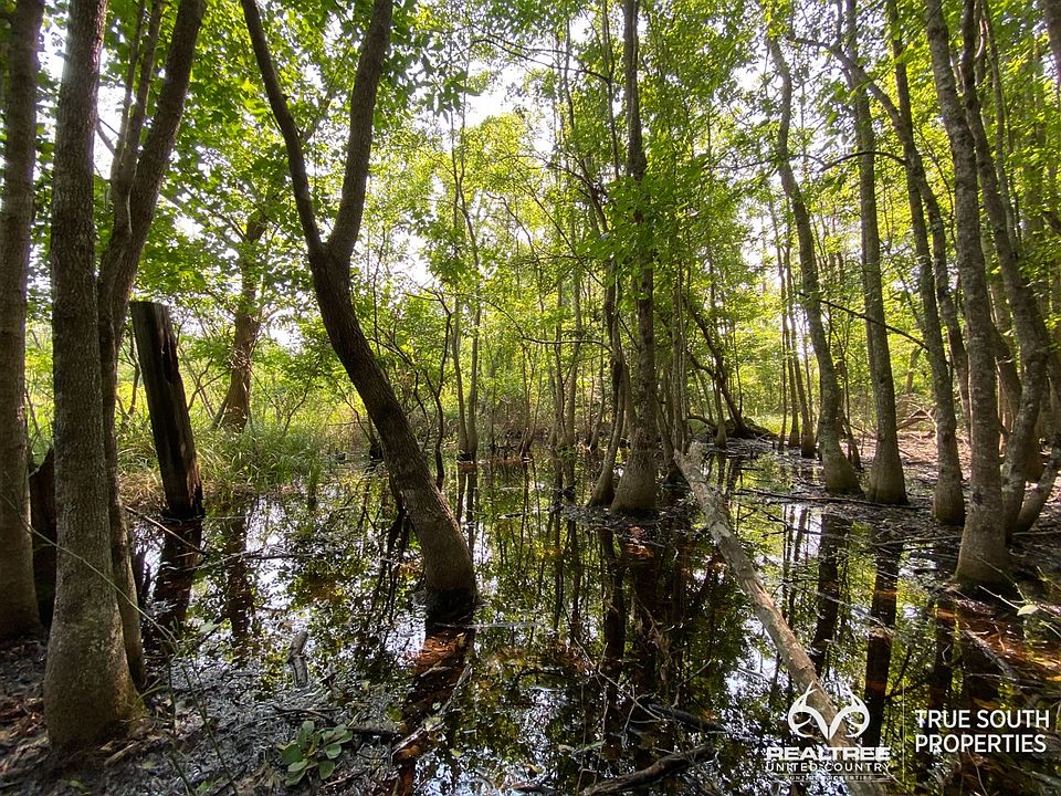 Highway 63, Varnville, SC 29944 Zillow