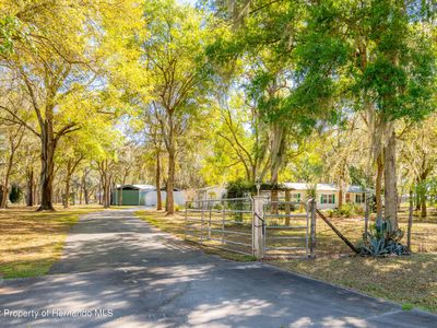 28196 Wildlife Ln, Brooksville, FL, 34602