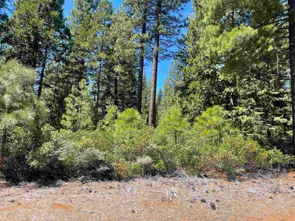 84 Fox Pine Dr, Westwood, CA 96137