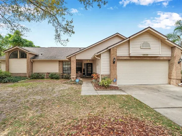 10309 Sedgebrook Pl, Riverview, FL 33569