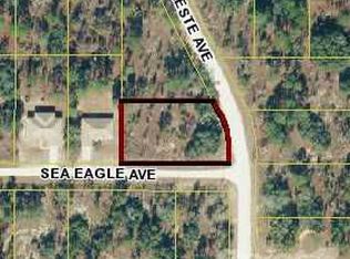15169 Celeste Ave, Weeki Wachee, FL 34614