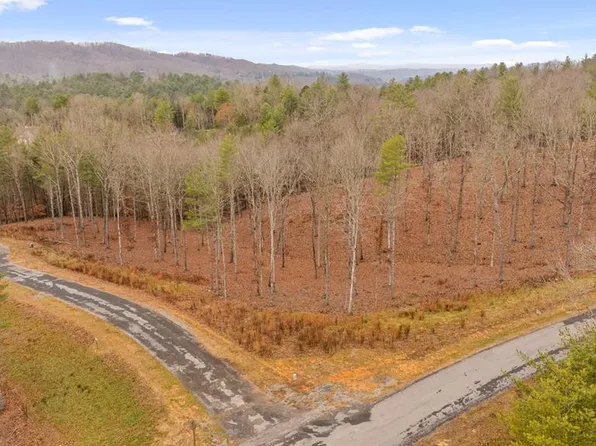 99 S Wind Ct, Morganton, GA 30560