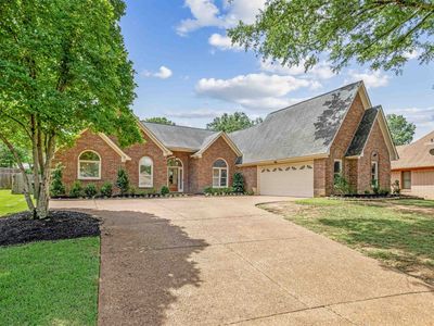 215 Alan Cv, Collierville, TN, 38017