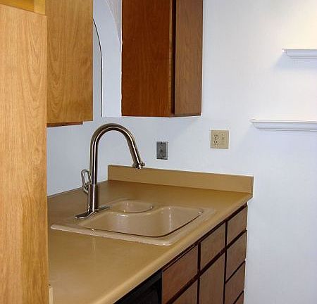 Kitchen Sink Area
