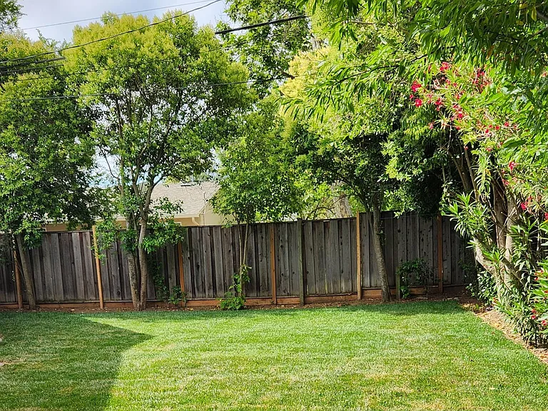 Part of the backyard