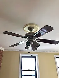 Rented by Dwelling NYC