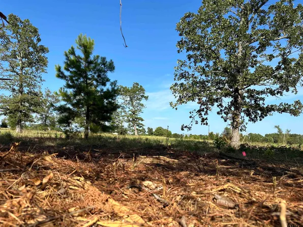 LOT 4 County Road 3612, Brownsboro, TX 75756