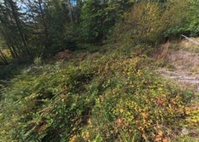 130 LOT: B, PTN BLK: 15, Hoodsport, WA, 98548