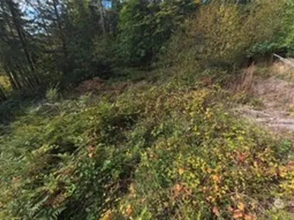 130 LOT: B, PTN BLK: 15, Hoodsport, WA 98548