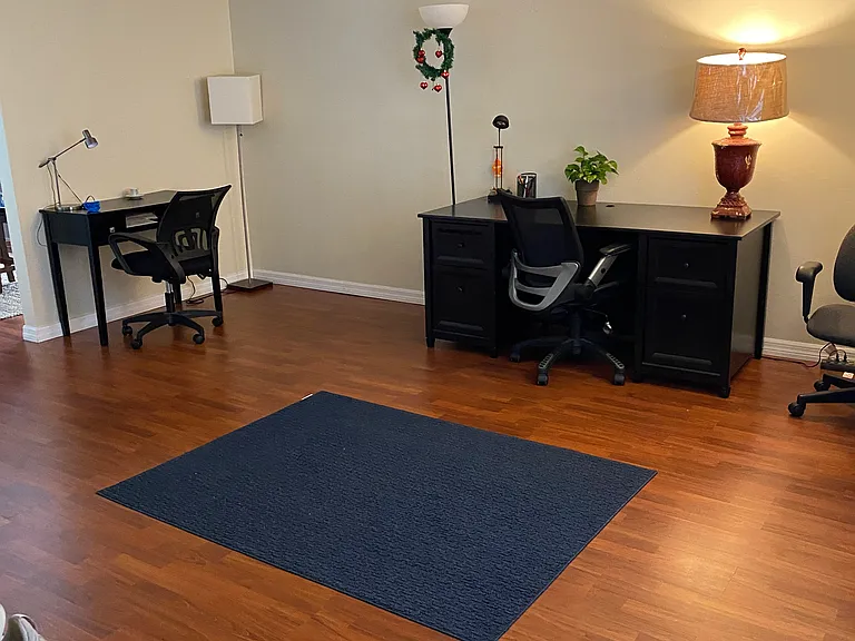 5166 Sunridge Palms Dr — Photo 2
