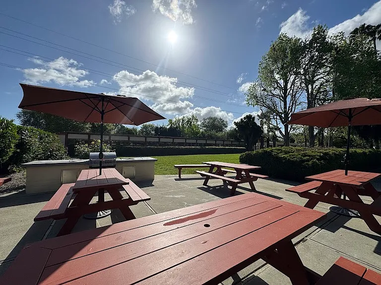 BBQ Area