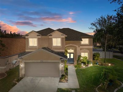 19301 Sandy Springs Cir, Lutz, FL, 33558