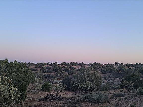 3rd image of 10.52 acres E Lan Drive