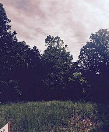 4th image of 5167 Prestwick North Cir
