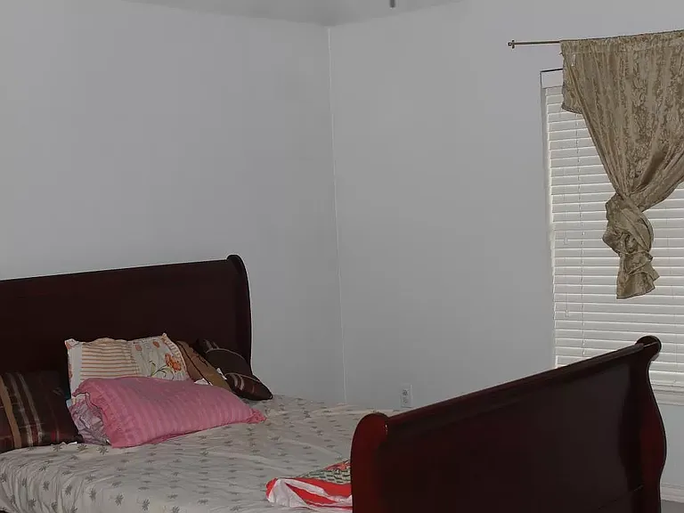 424 Lacebark Dr — Photo 6