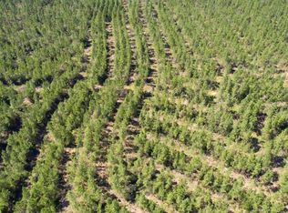 7 Denali Rd, Jay, FL 32565