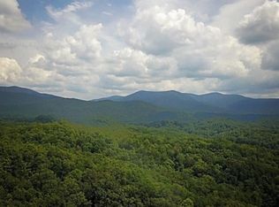 7 Leatherwood Mountain Rd, Cherry Log, GA 30522