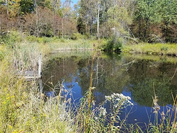 5th image of 773 County Road 94
