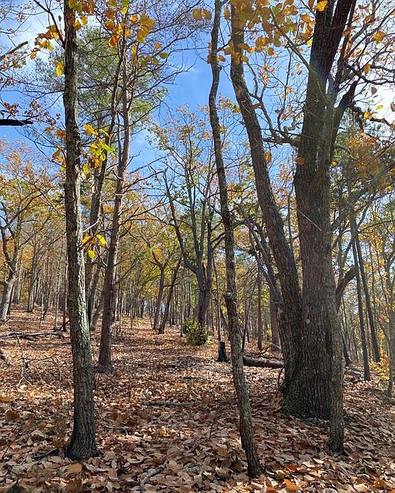 2nd image of 0 Lasater Rd