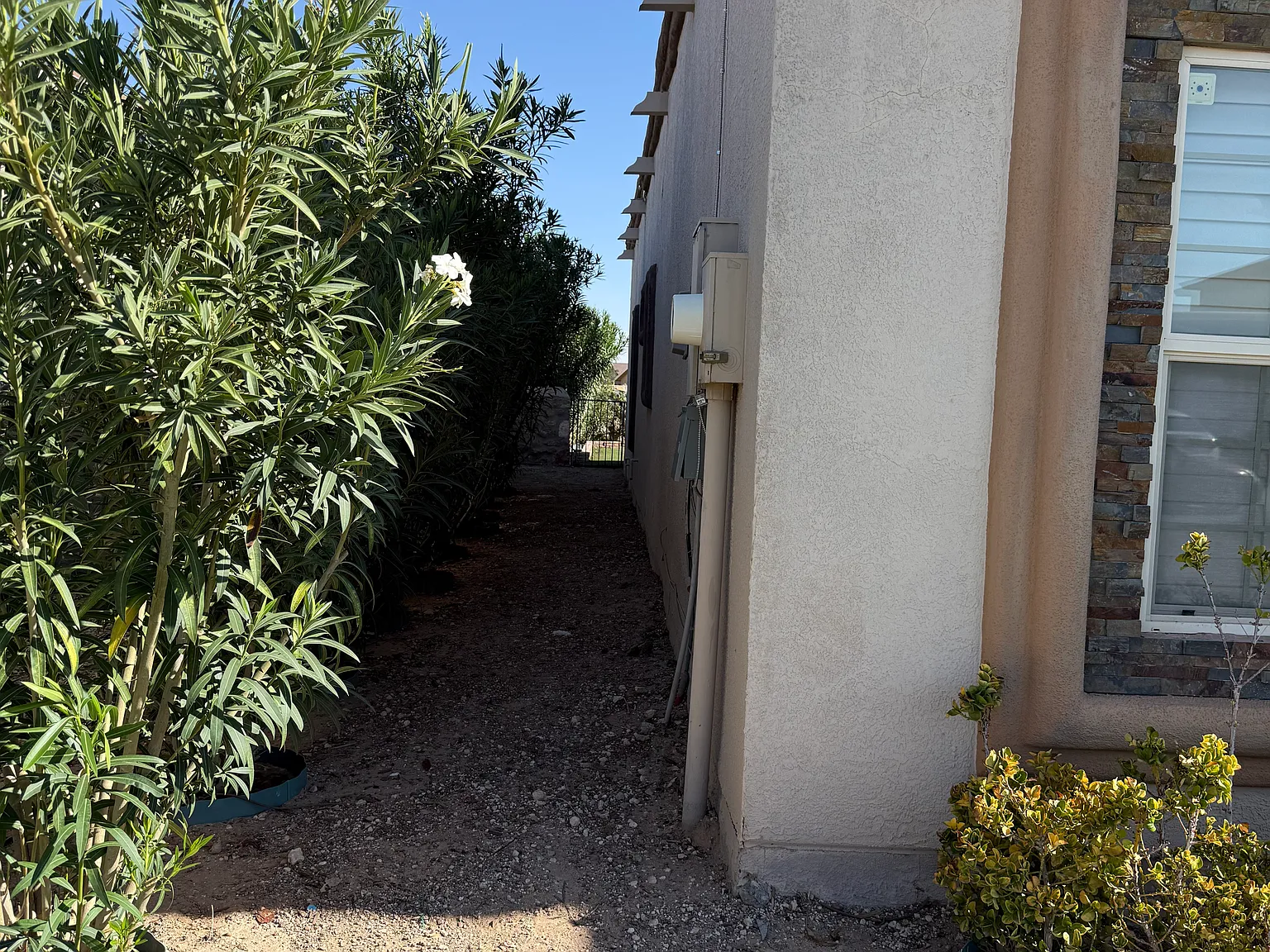 4 bed, 1590 sqft, $1,590 — Photo 3