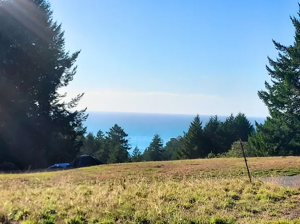 57 Ridge Rd, Whitethorn, CA 95589