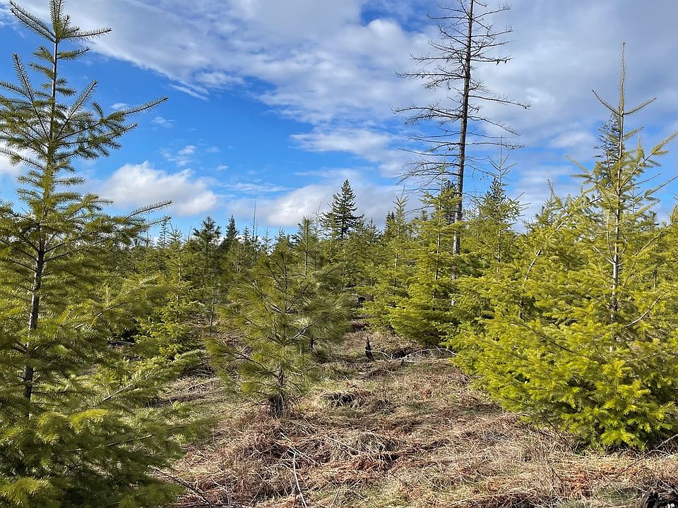 PARCEL Three Badger Ridge Dr, White Bird, ID 83554 Zillow