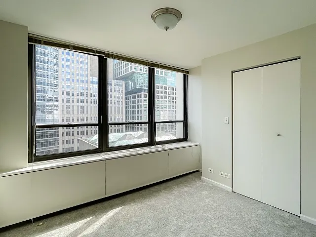 222 E Pearson St #1206 — Photo 5