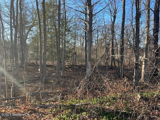 2nd image of 59A Cherry Avenue