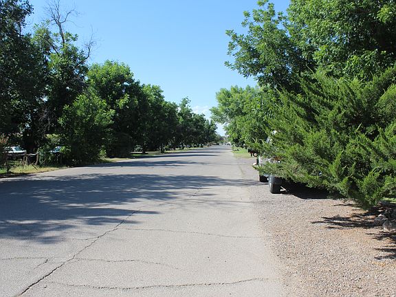 Tree lined street