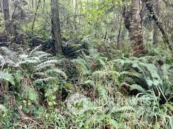 0 XXX Goss Lake Road, Langley, WA 98260