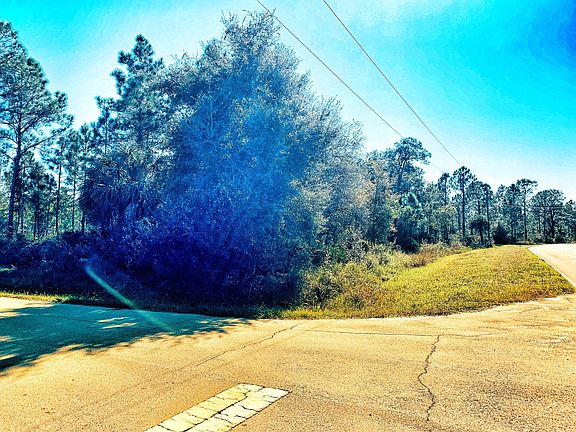 4th image of 27053 Valencia Dr