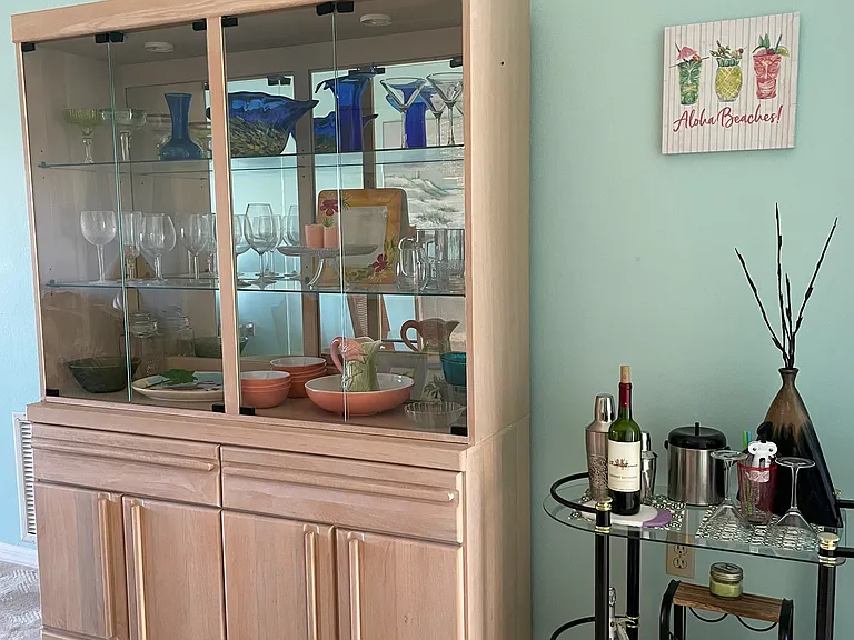 420 Cerromar Ct — Photo 7