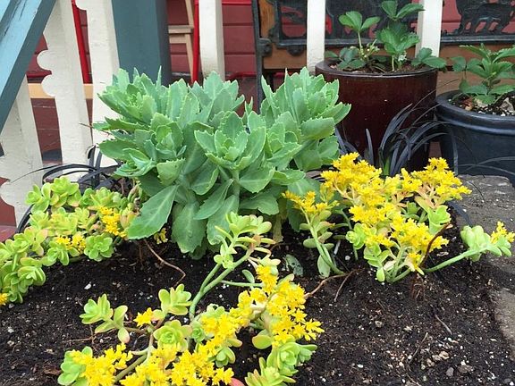 curb appeal