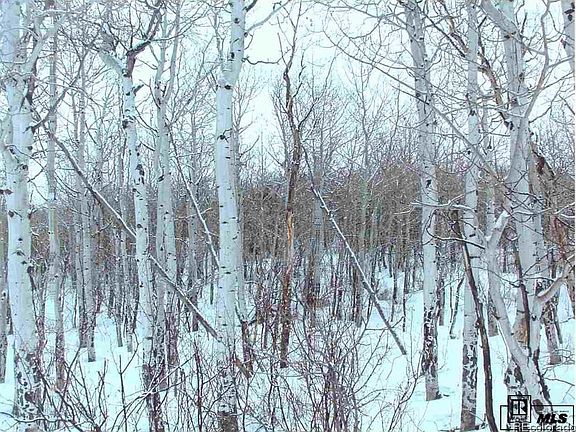 5th image of . County Road 179 Lot 24