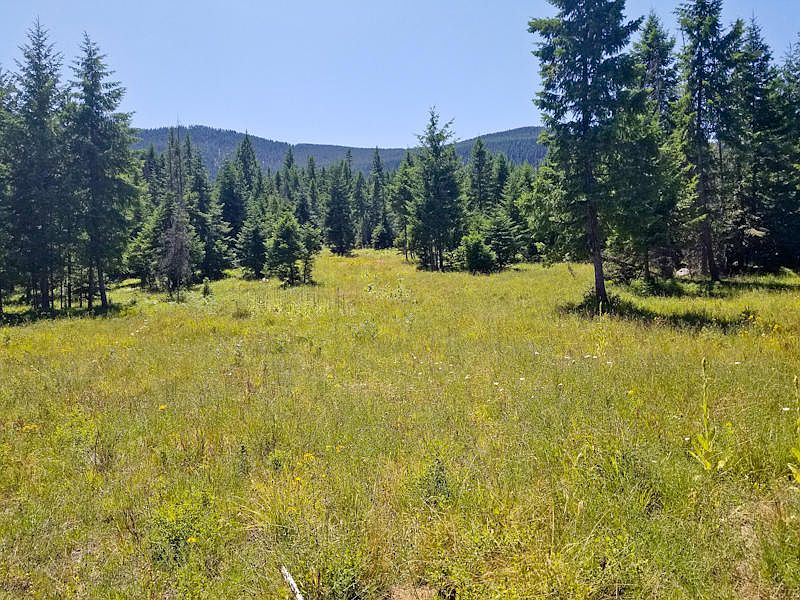 1st image of Nhn Triple J Loop
