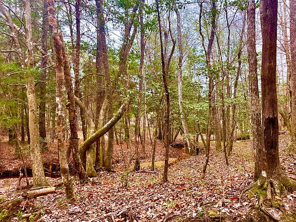 3rd image of 2181 Birch Rd