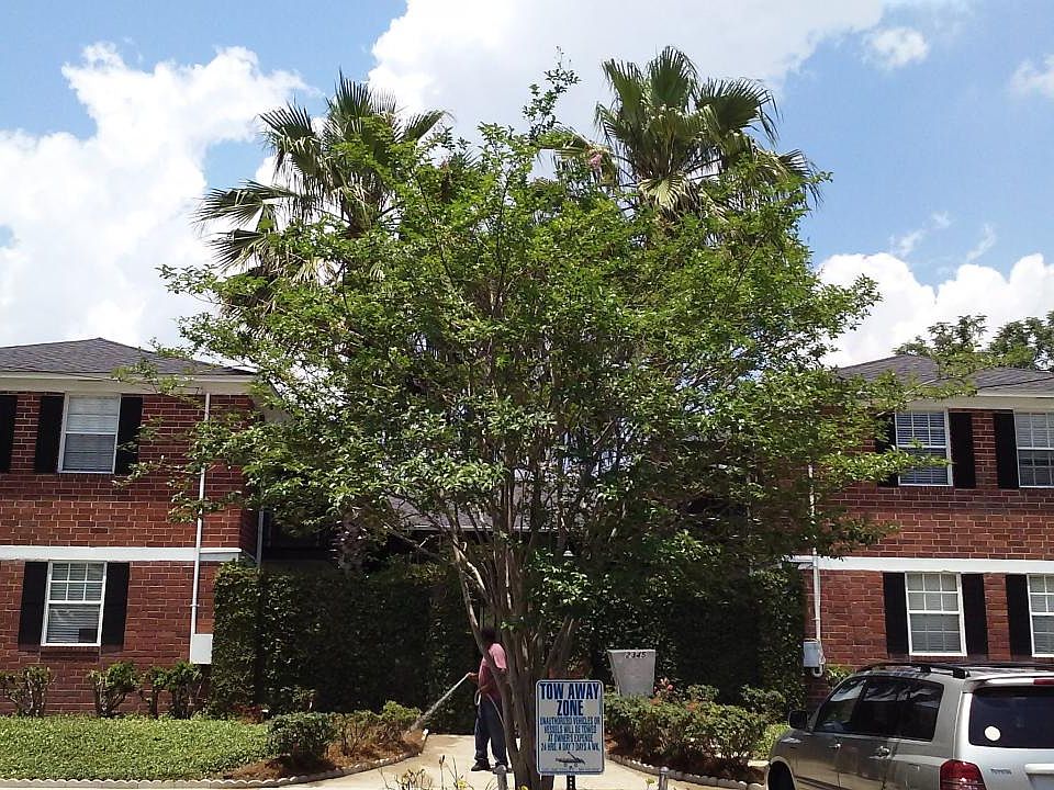 Gated Entrance Street View
