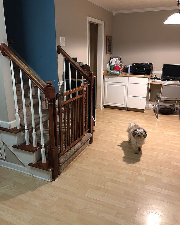 240 Wilkins Rd, Fayetteville, GA 30214 Zillow