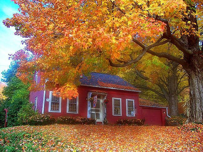 Front of home